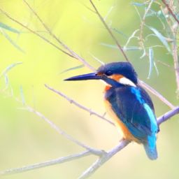 美容護膚步驟的正確順序及詳解