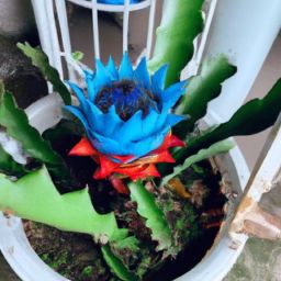 維生素D：<strong>美容</strong>護(hù)膚的秘密武器