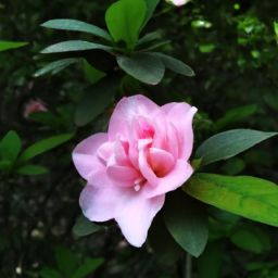 樊文花美容護(hù)膚產(chǎn)品的價(jià)格究竟貴不貴？探尋市場(chǎng)定位與性價(jià)比