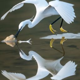 美容護(hù)膚禁忌：關(guān)于美容護(hù)膚你不能忽視的事項(xiàng)